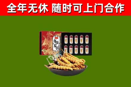 互助县回收冬虫夏草价格
